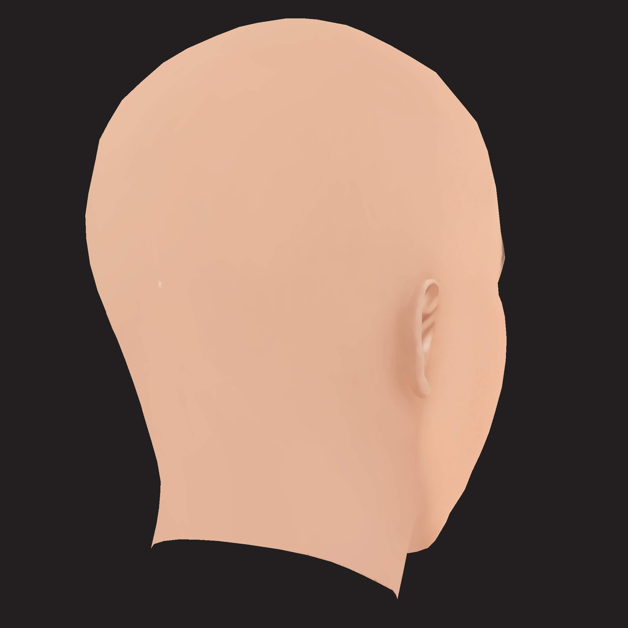 Low Poly Yelawolf Rapper Head 3D Model