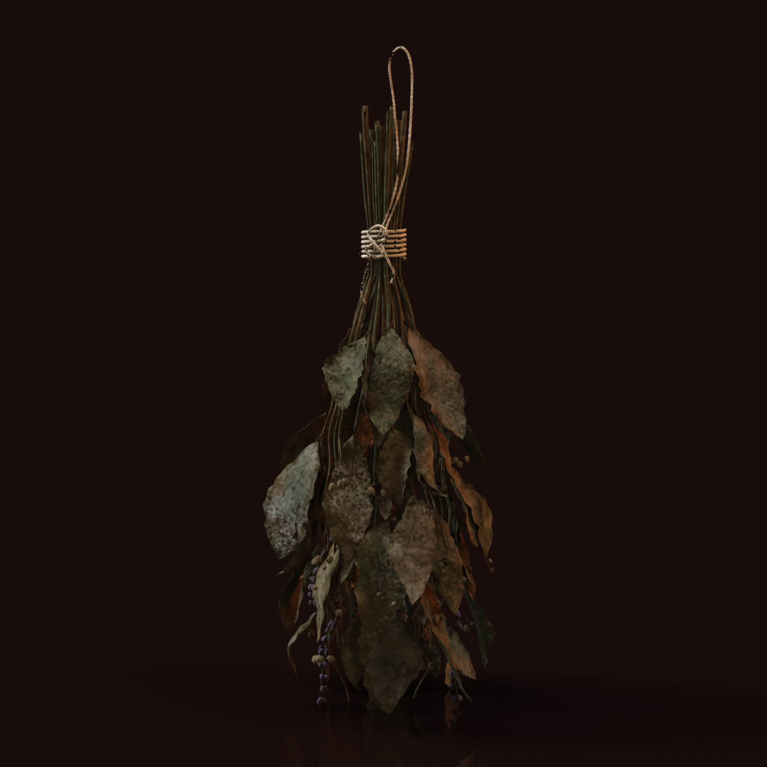 Apothecary Witch Bundle for DAZ Daz Content