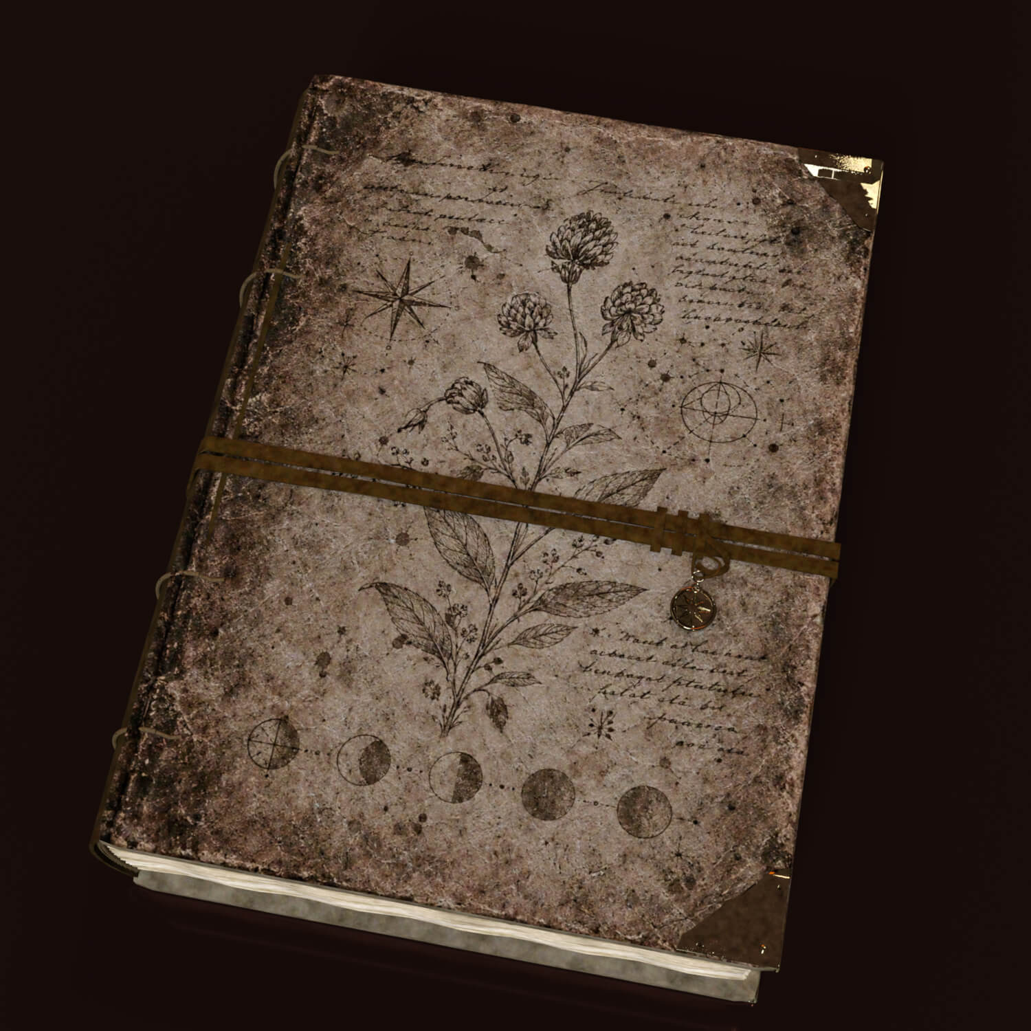 Apothecary Witch Bundle for DAZ Daz Content