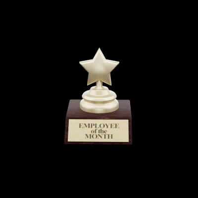Employee of the Month Star Trophy