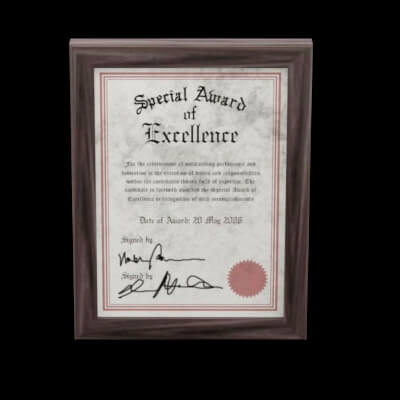 Framed Certificate of Excellence Award