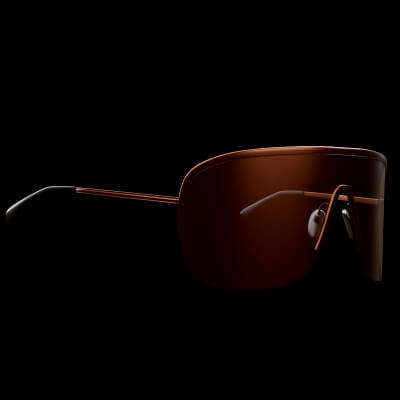 Beach Shades Glasses Brown