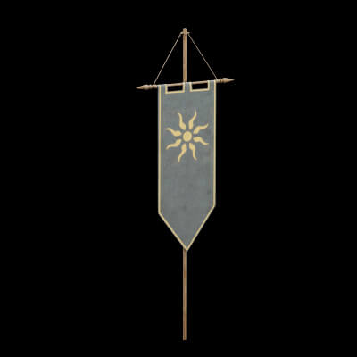 Black Flag Banner