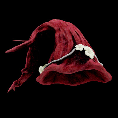 Red Witch Hat