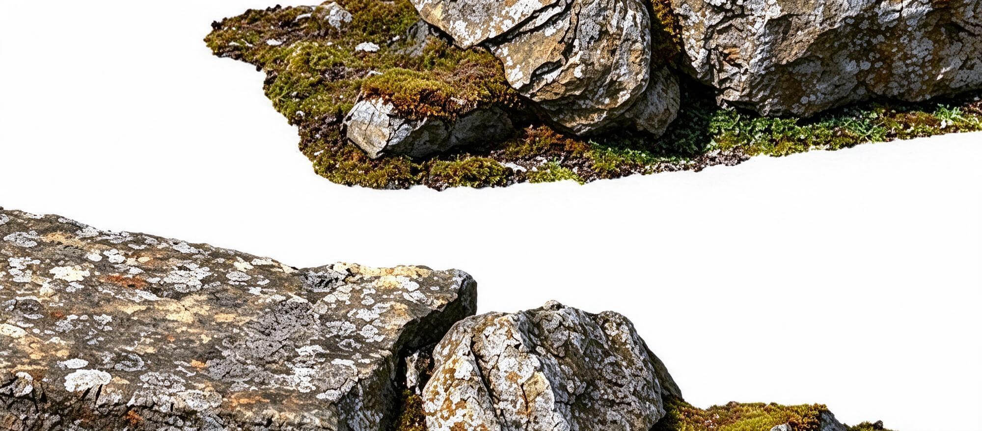 Mossy Flat Slab Rock with Ground Patch 3D Model 3D Model