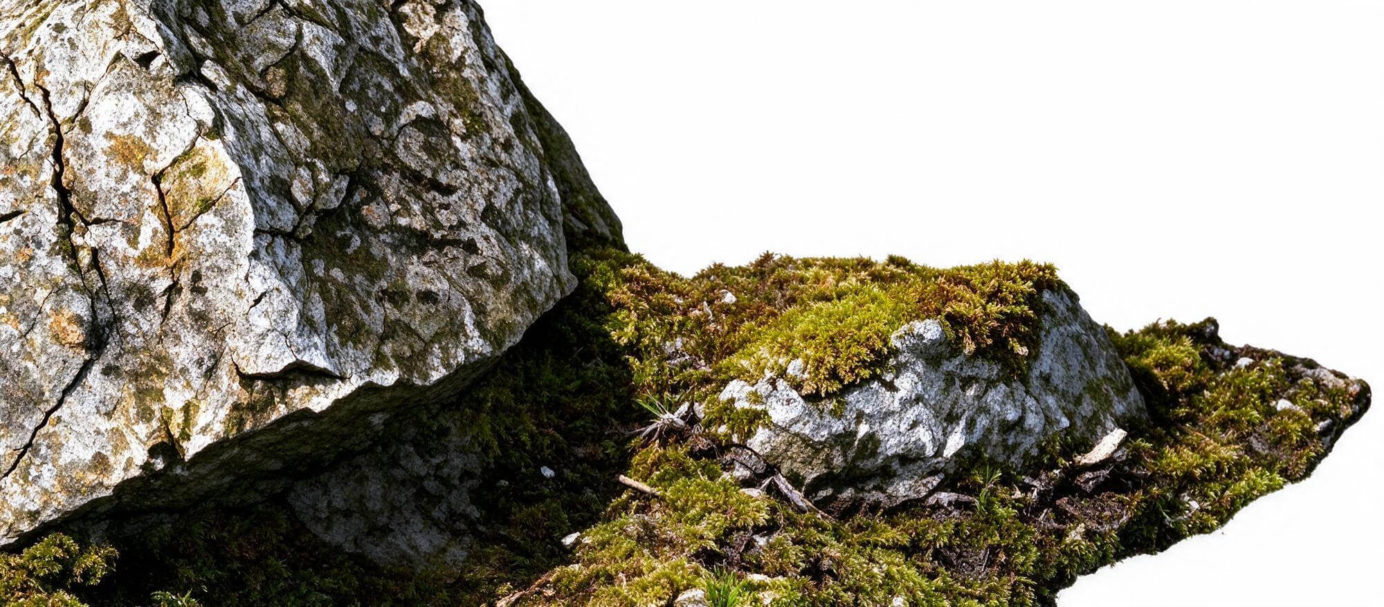 Mossy Flat Slab Rock with Ground Patch 3D Model 3D Model
