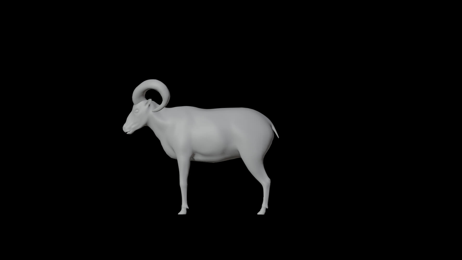 Dall Sheep Thinhorn Wild Sheep 3D Model