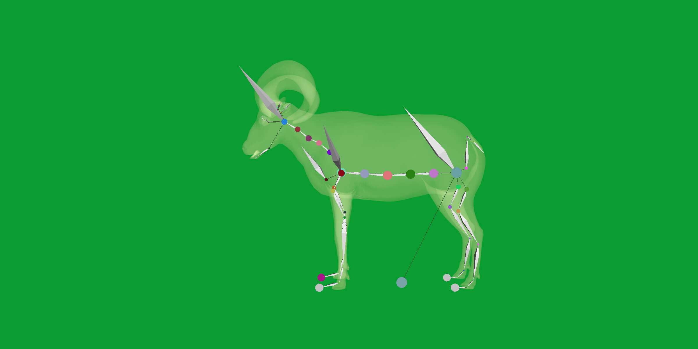 Dall Sheep Thinhorn Wild Sheep 3D Model