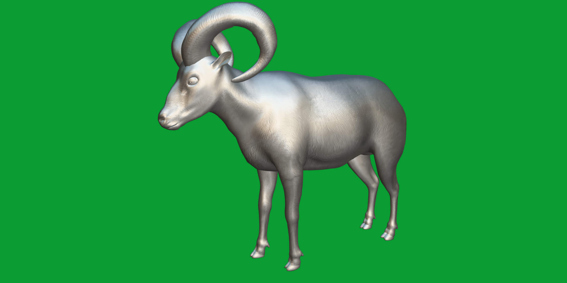Dall Sheep Thinhorn Wild Sheep 3D Model