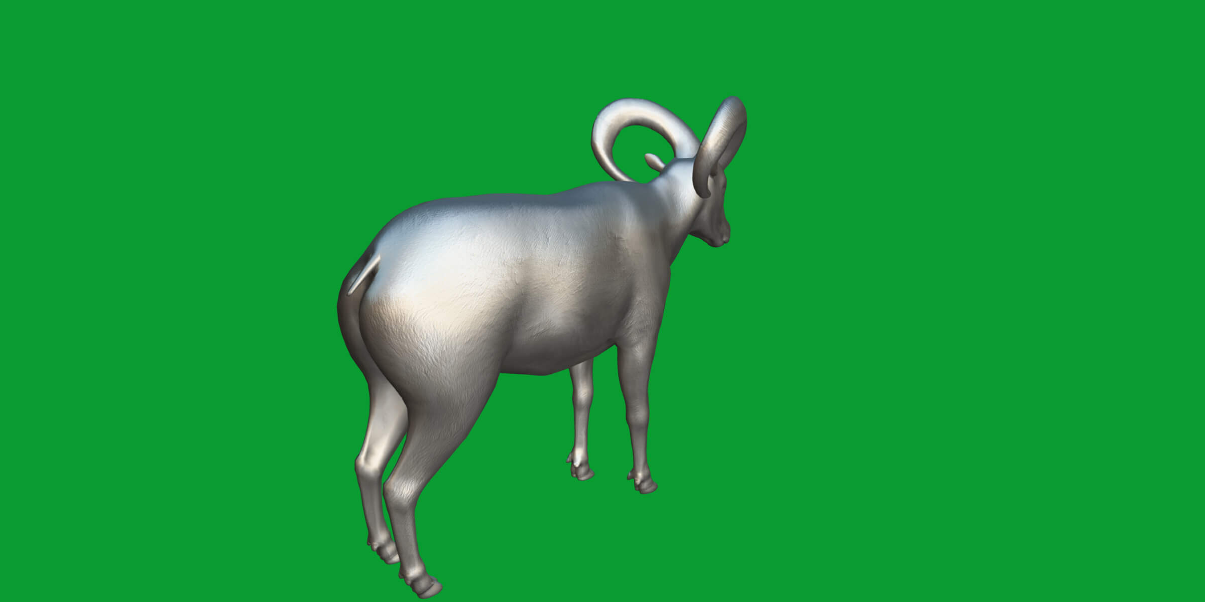 Dall Sheep Thinhorn Wild Sheep 3D Model