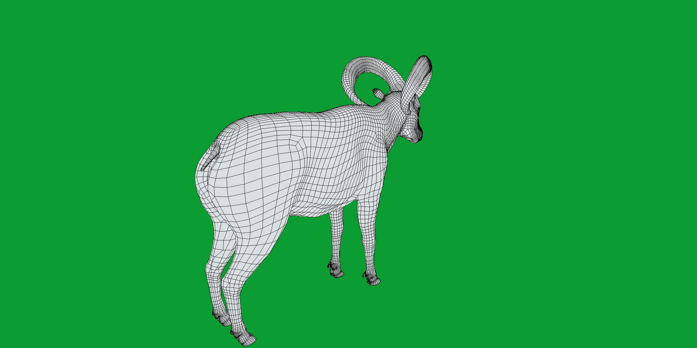 Dall Sheep Thinhorn Wild Sheep 3D Model