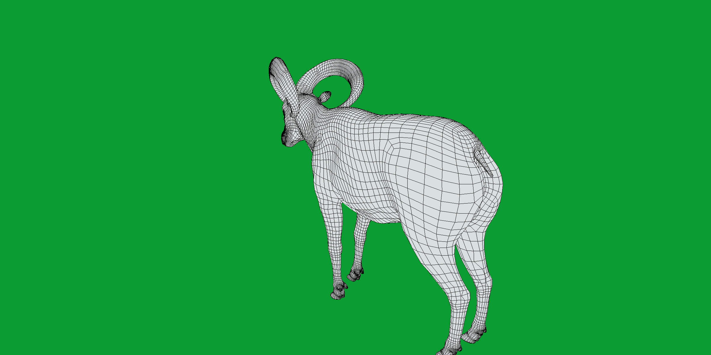 Dall Sheep Thinhorn Wild Sheep 3D Model