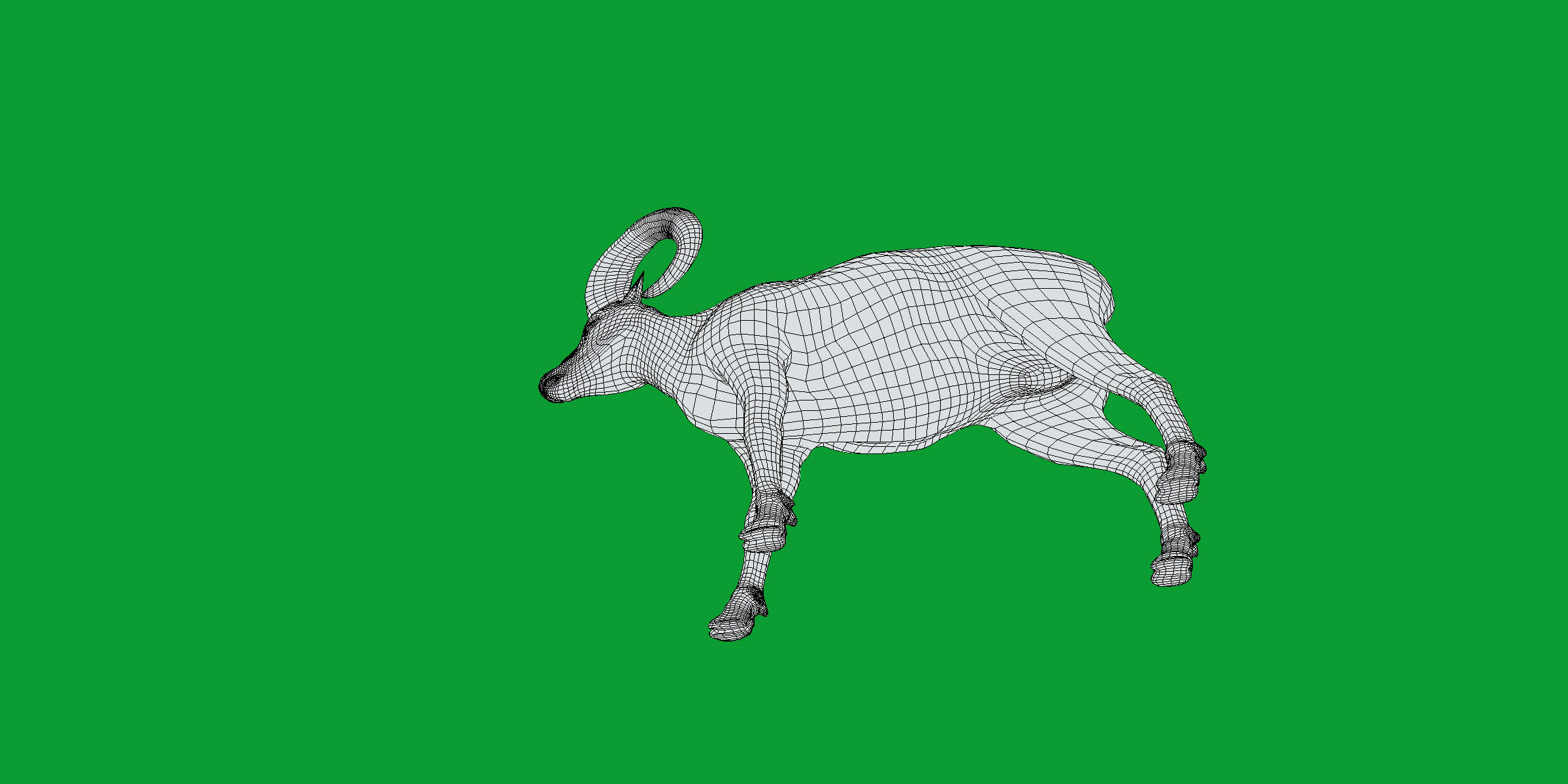 Dall Sheep Thinhorn Wild Sheep 3D Model