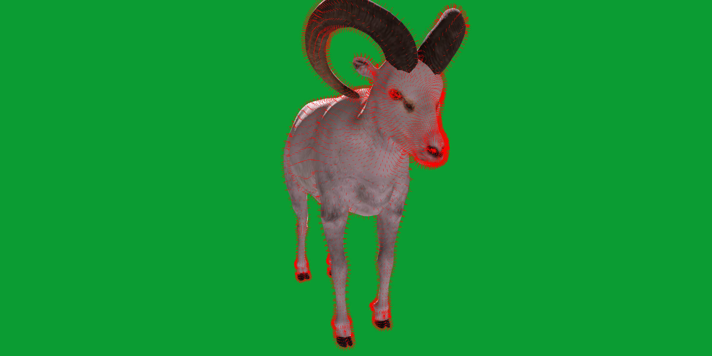 Dall Sheep Thinhorn Wild Sheep 3D Model