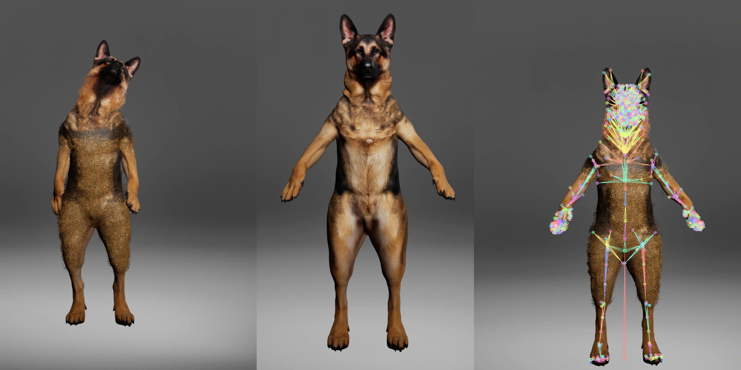 German Shepherd Dog Metahuman Character 3D Model