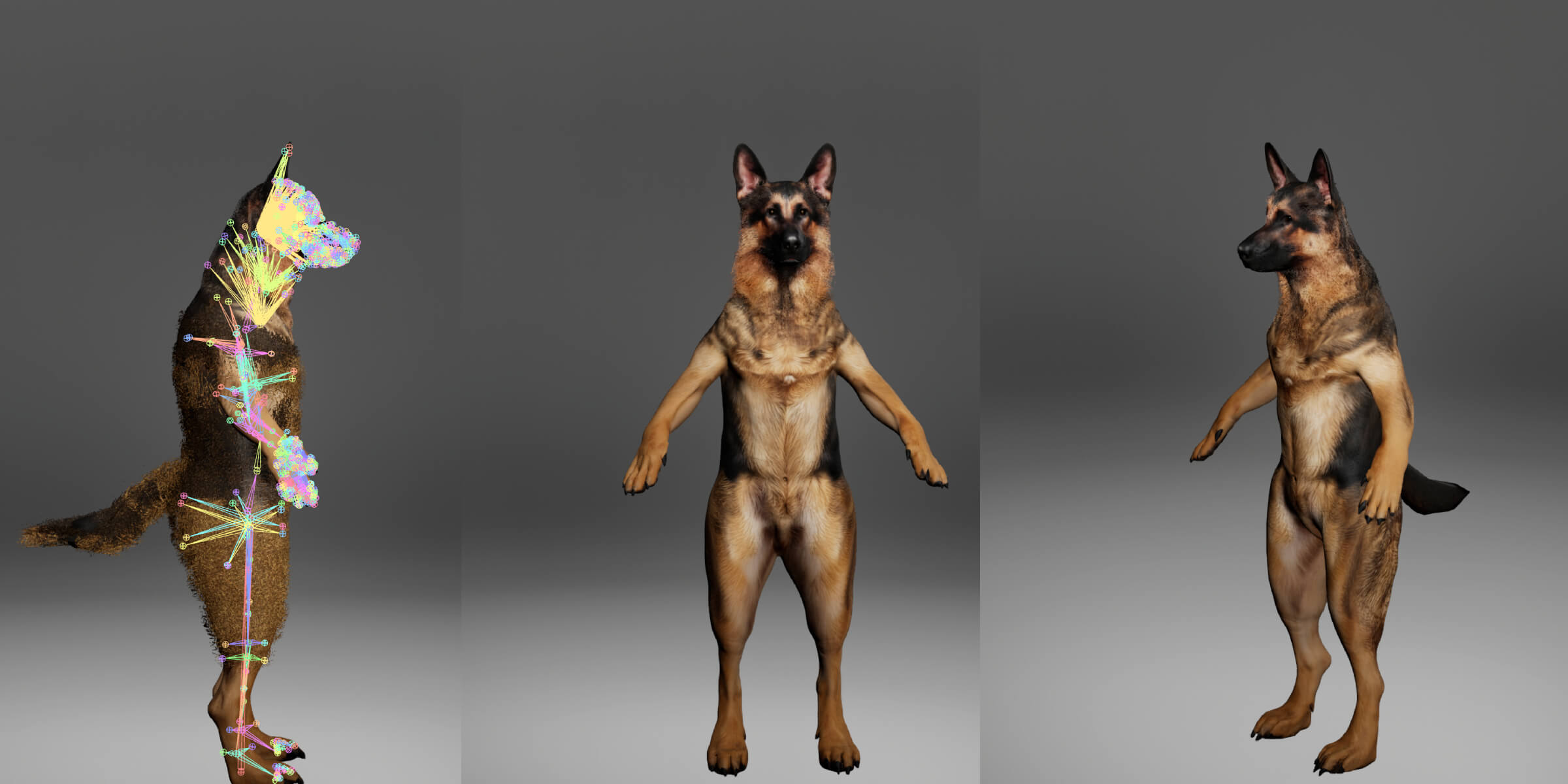 German Shepherd Dog Metahuman Character 3D Model