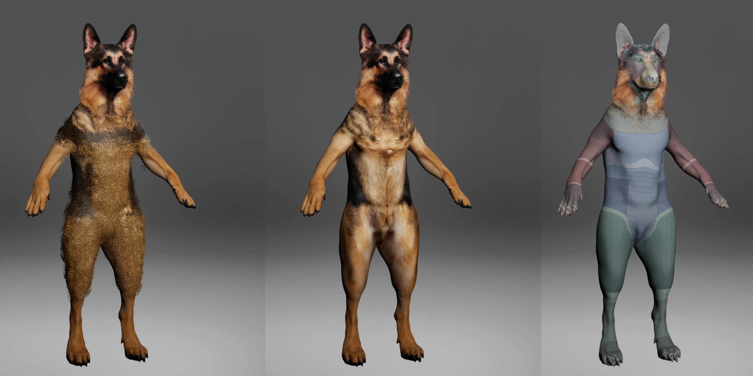 German Shepherd Dog Metahuman Character 3D Model