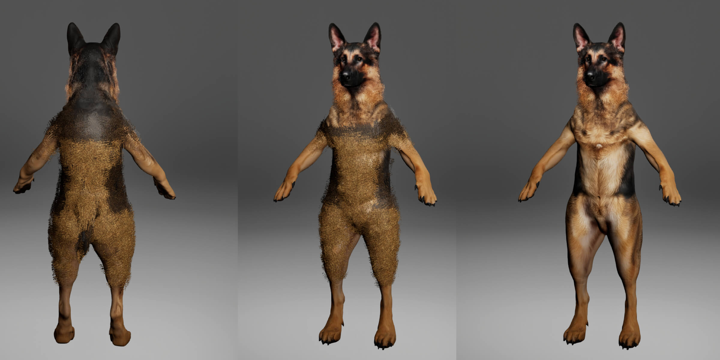 German Shepherd Dog Metahuman Character 3D Model