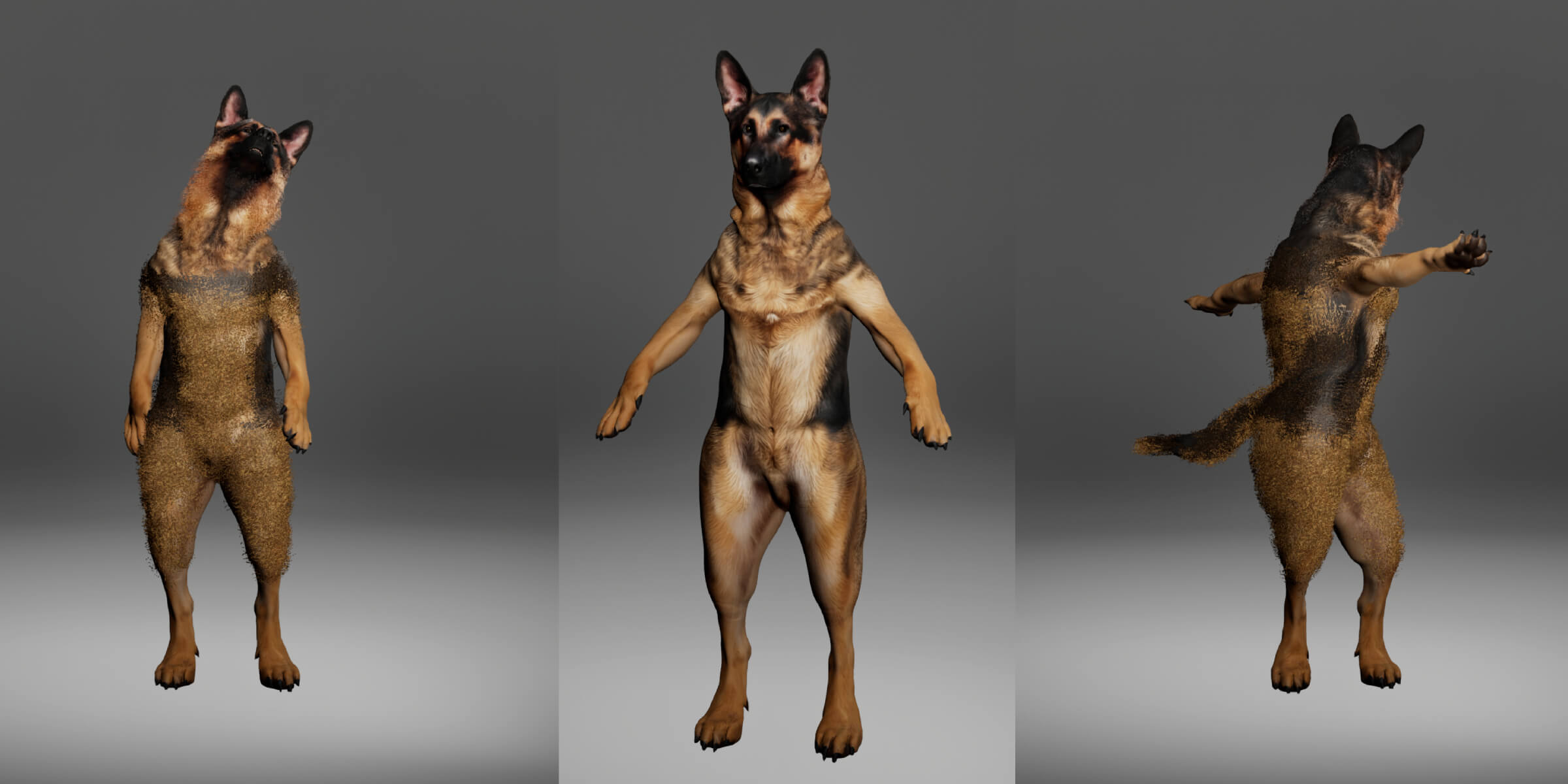 German Shepherd Dog Metahuman Character 3D Model