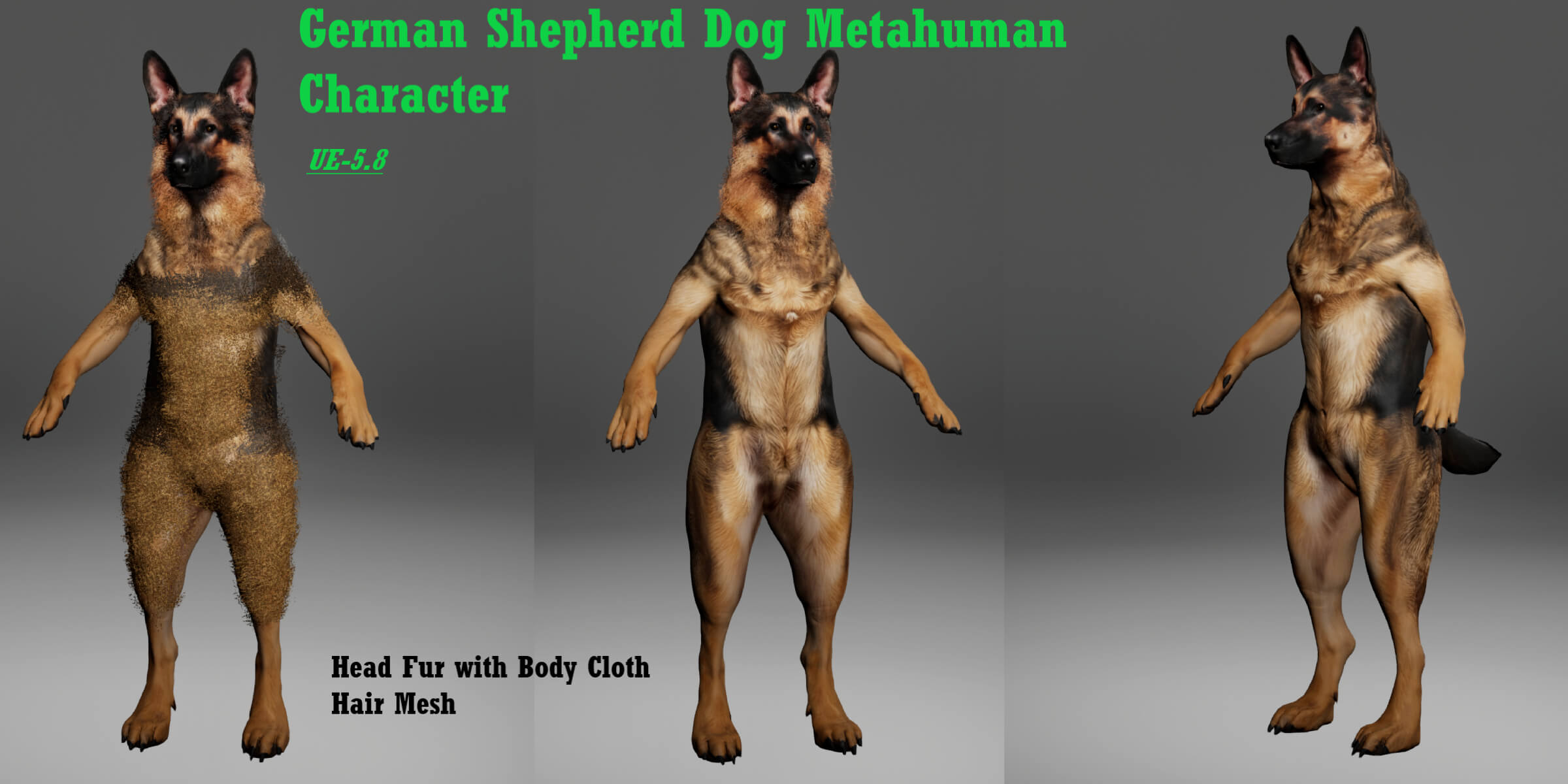 German Shepherd Dog Metahuman Character 3D Model