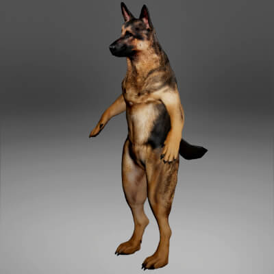 German Shepherd Dog Metahuman Character