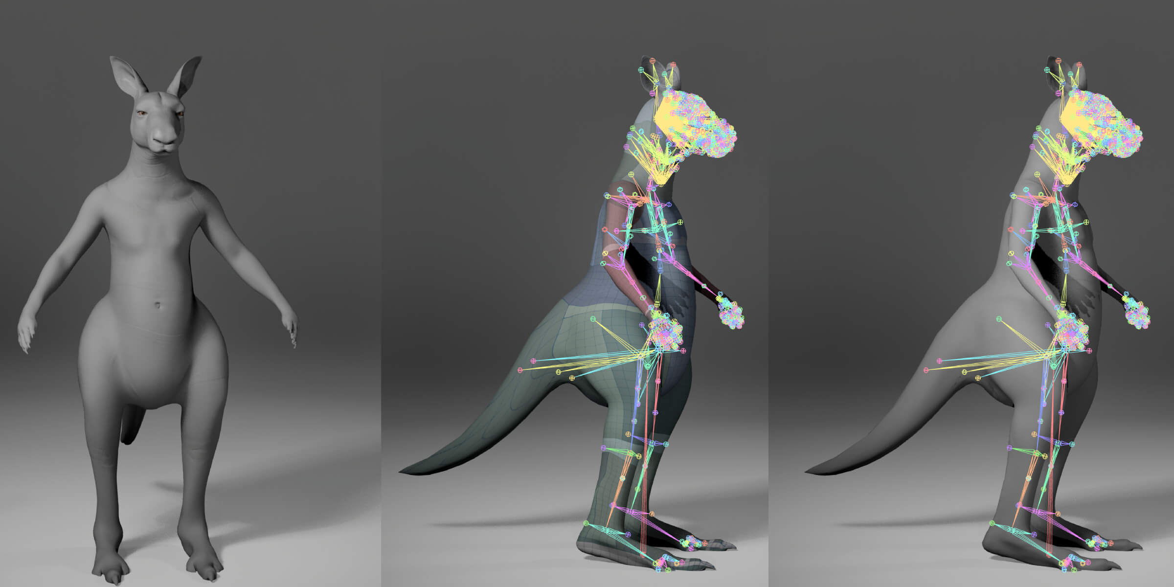 Kangaroo Metahuman Character 3D Model