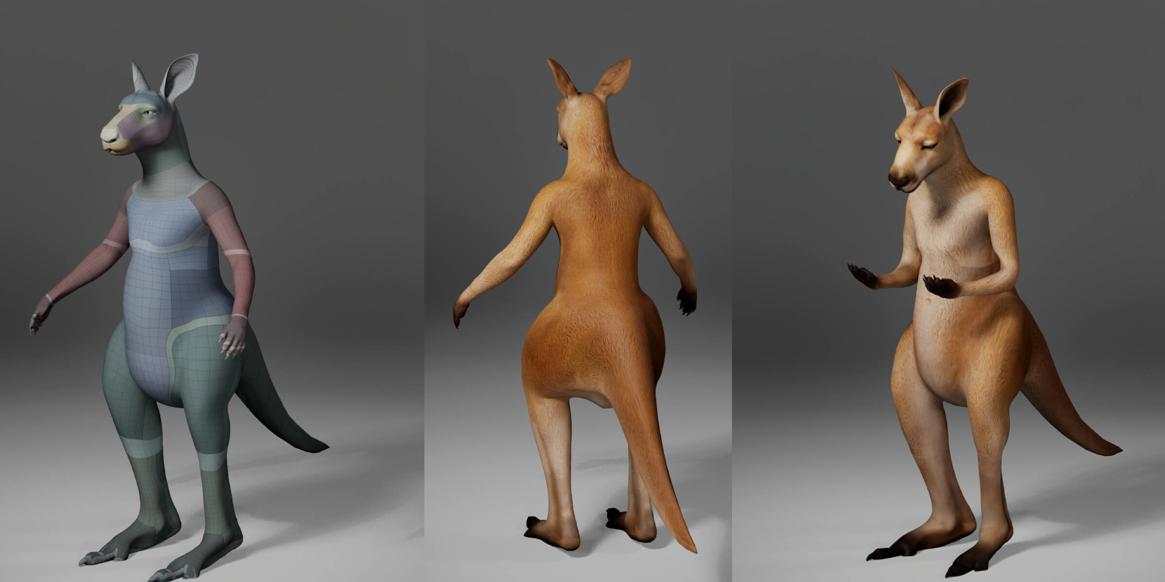 Kangaroo Metahuman Character 3D Model