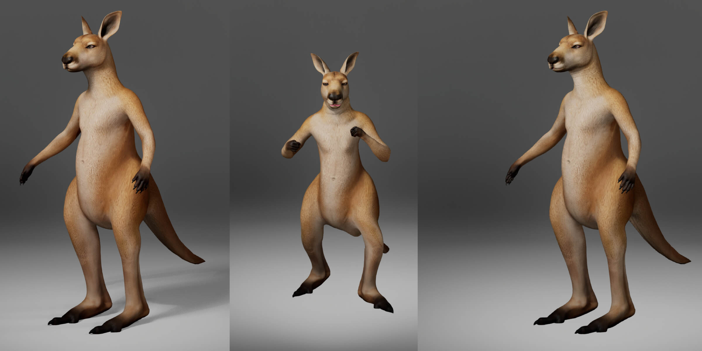 Kangaroo Metahuman Character 3D Model
