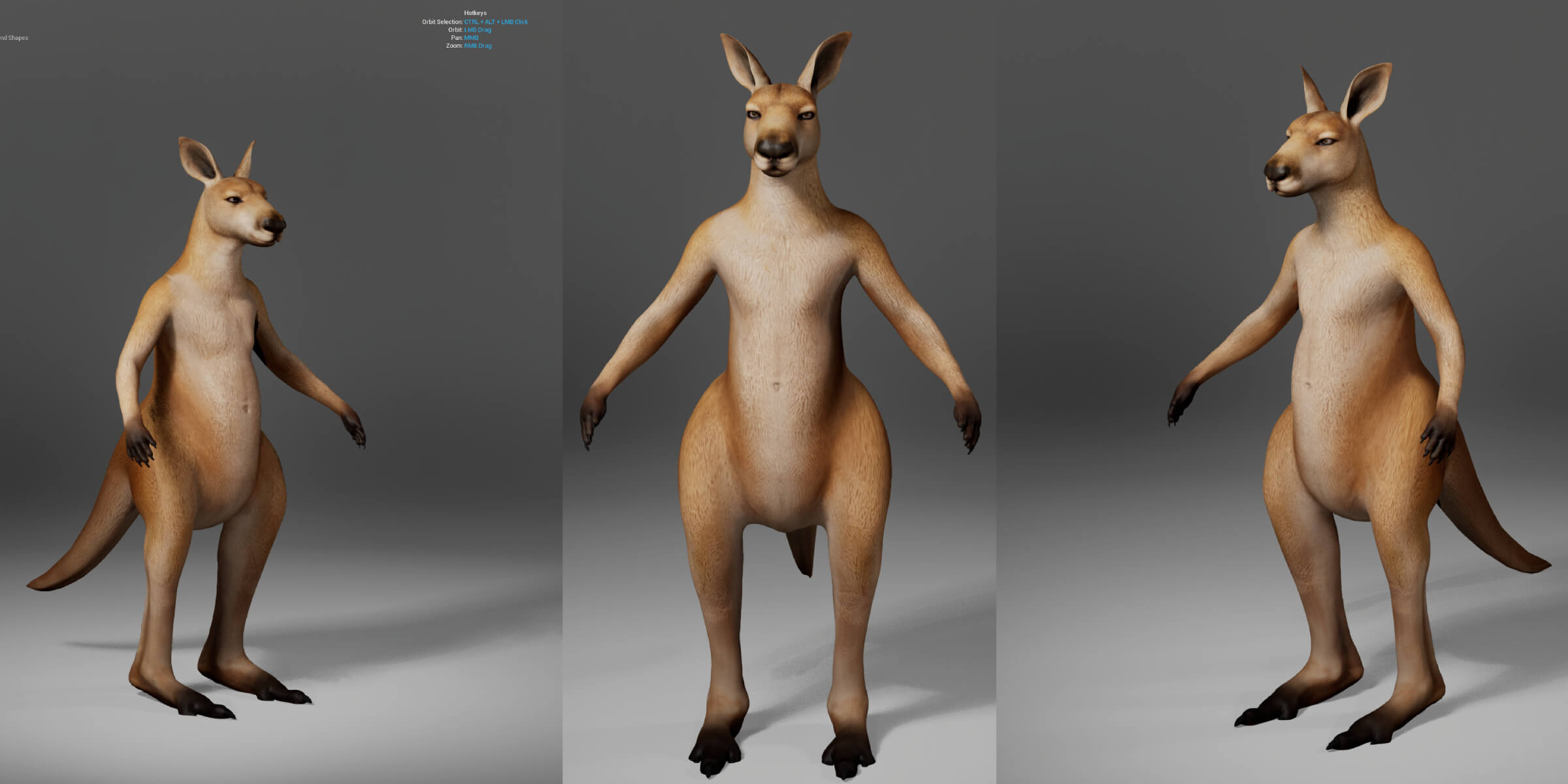 Kangaroo Metahuman Character 3D Model