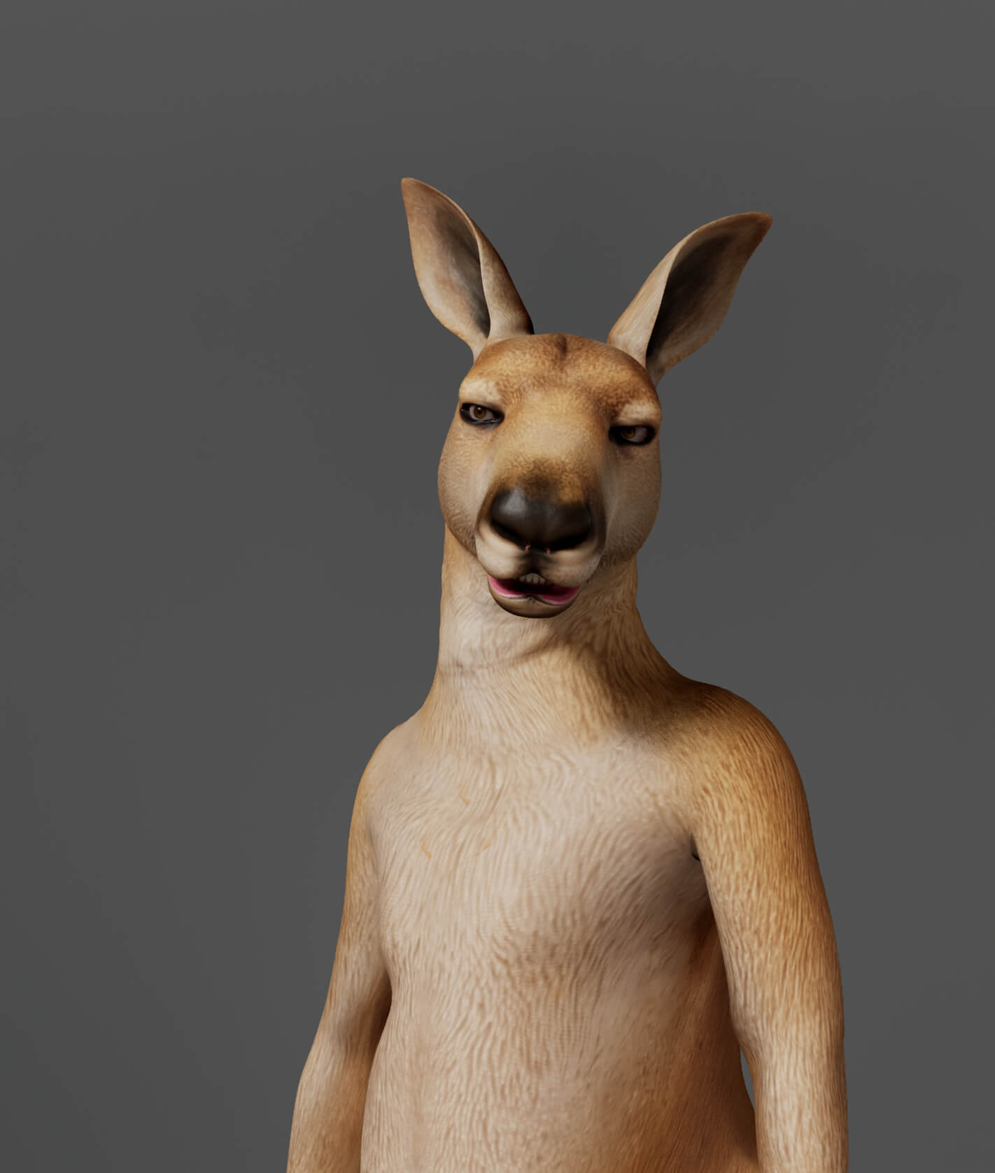 Kangaroo Metahuman Character 3D Model