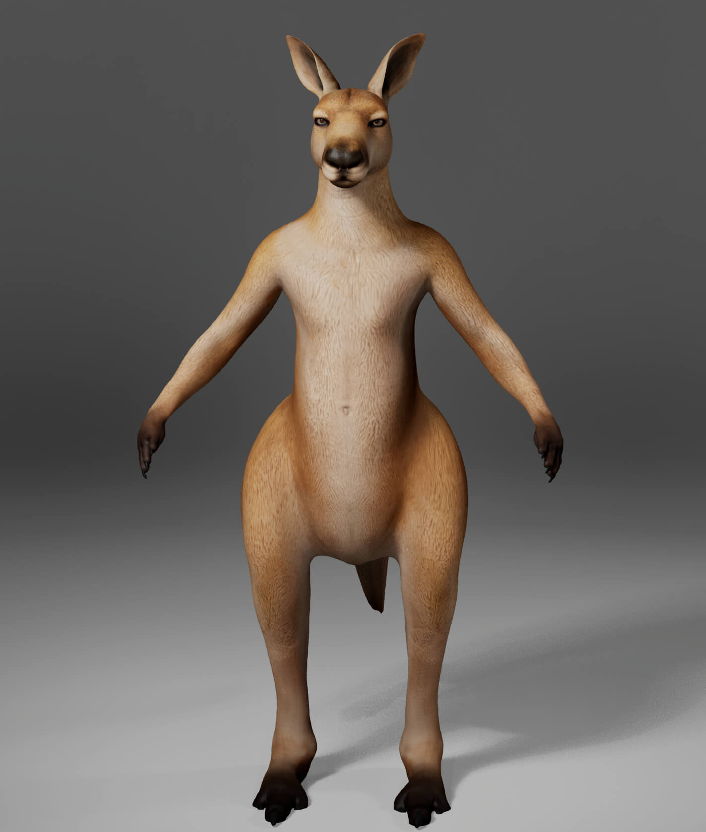Kangaroo Metahuman Character 3D Model