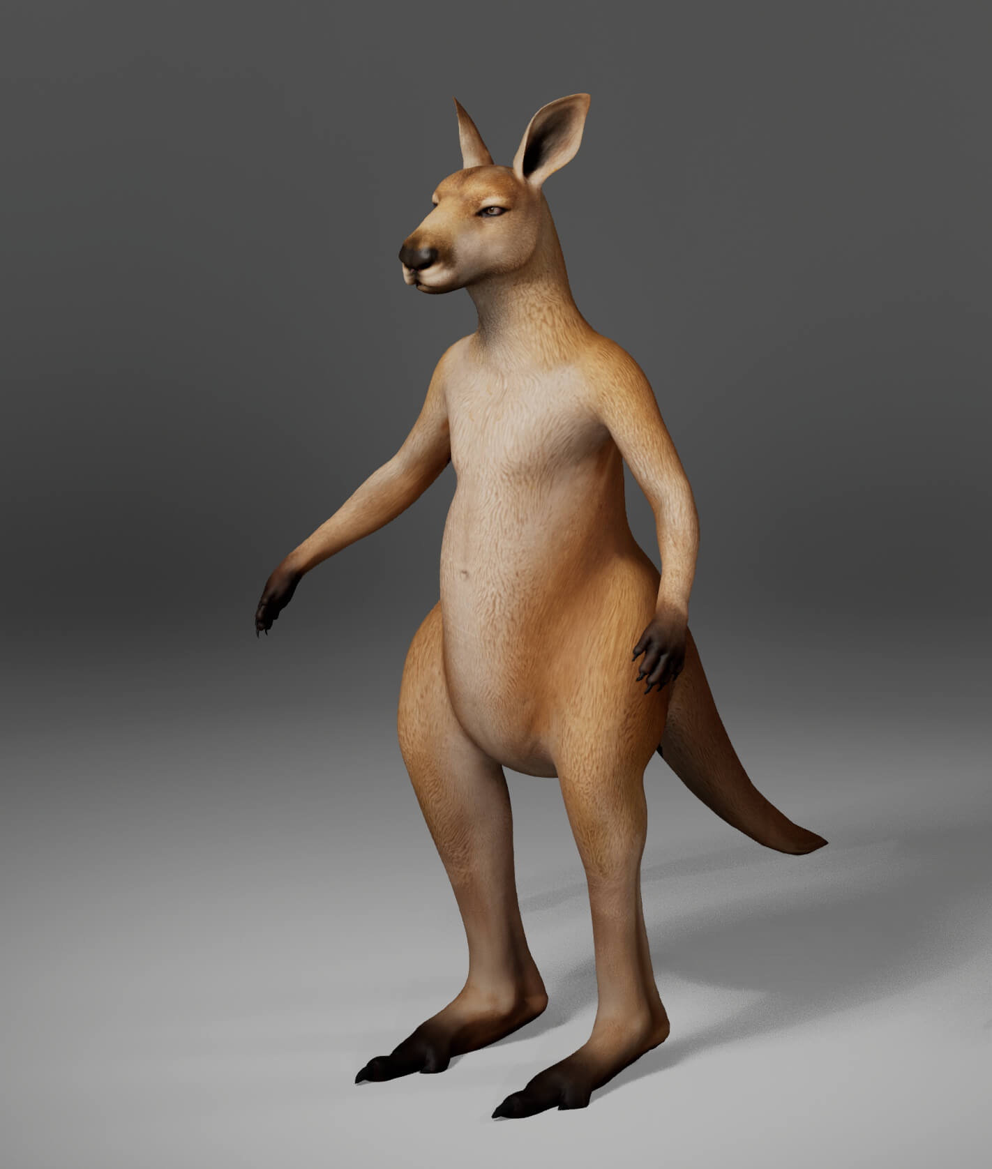 Kangaroo Metahuman Character 3D Model