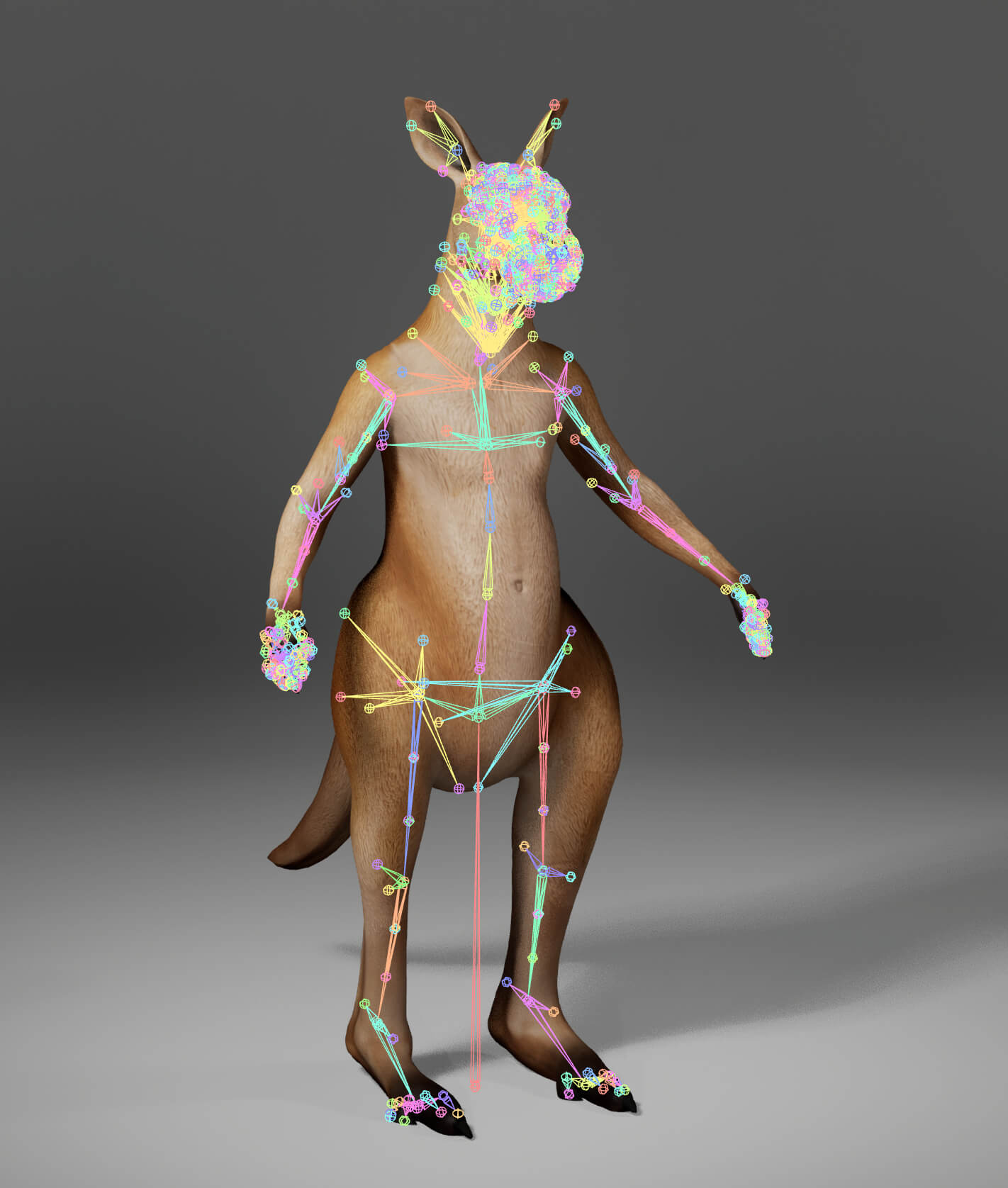 Kangaroo Metahuman Character 3D Model