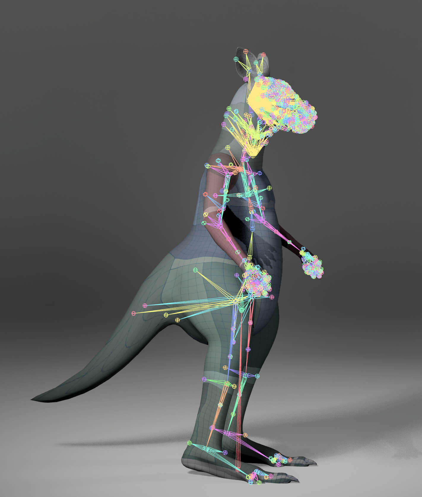 Kangaroo Metahuman Character 3D Model