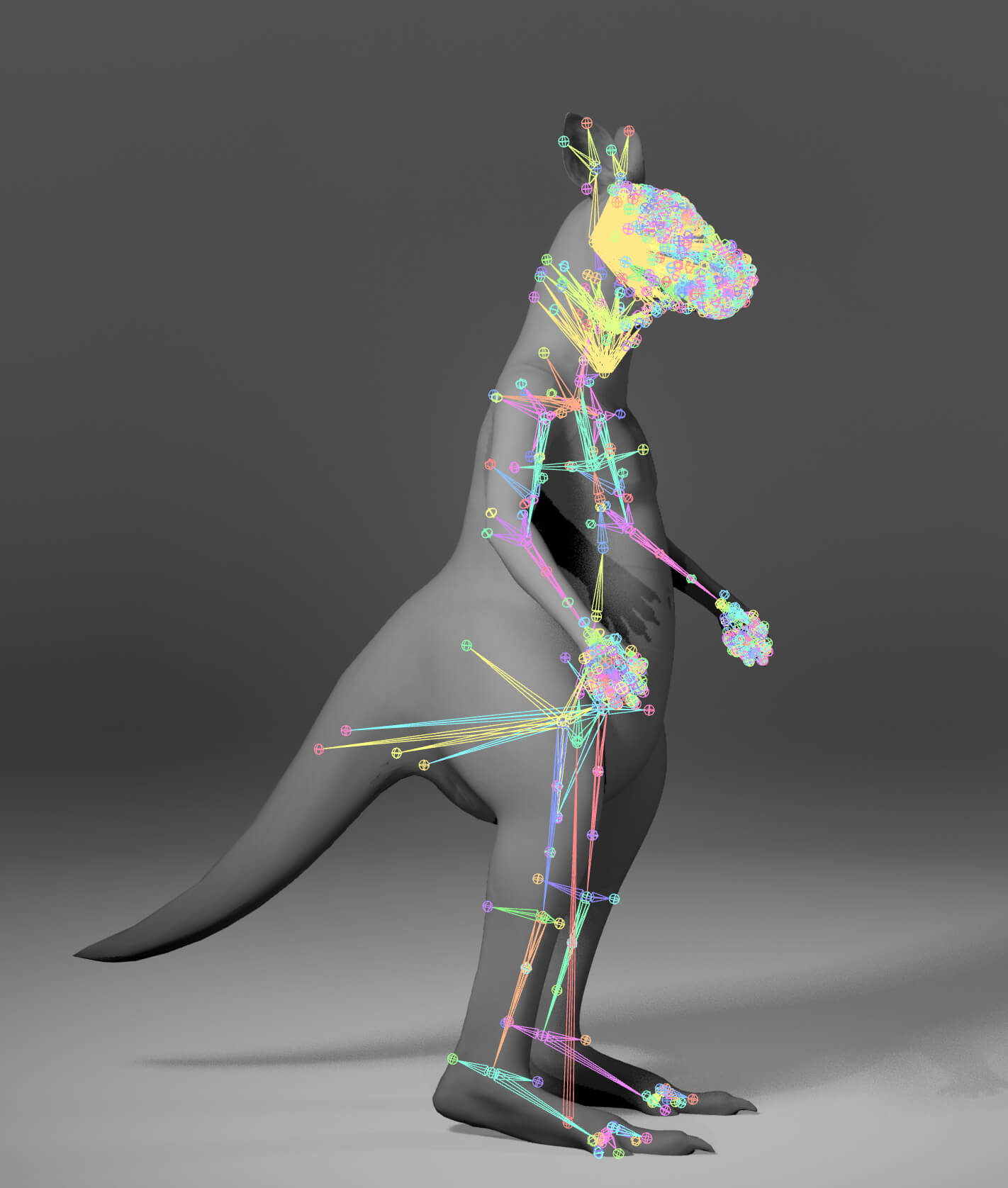 Kangaroo Metahuman Character 3D Model