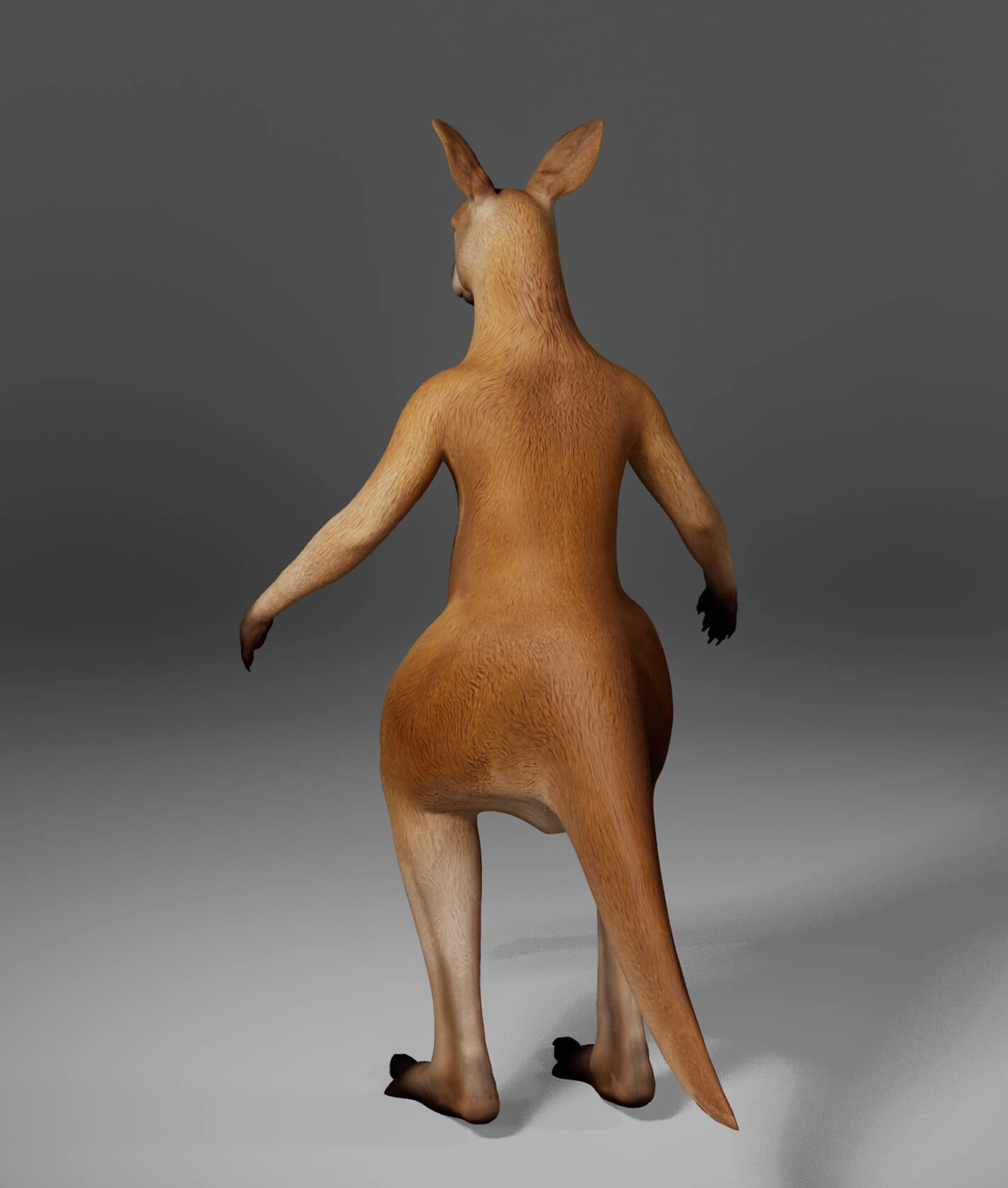 Kangaroo Metahuman Character 3D Model