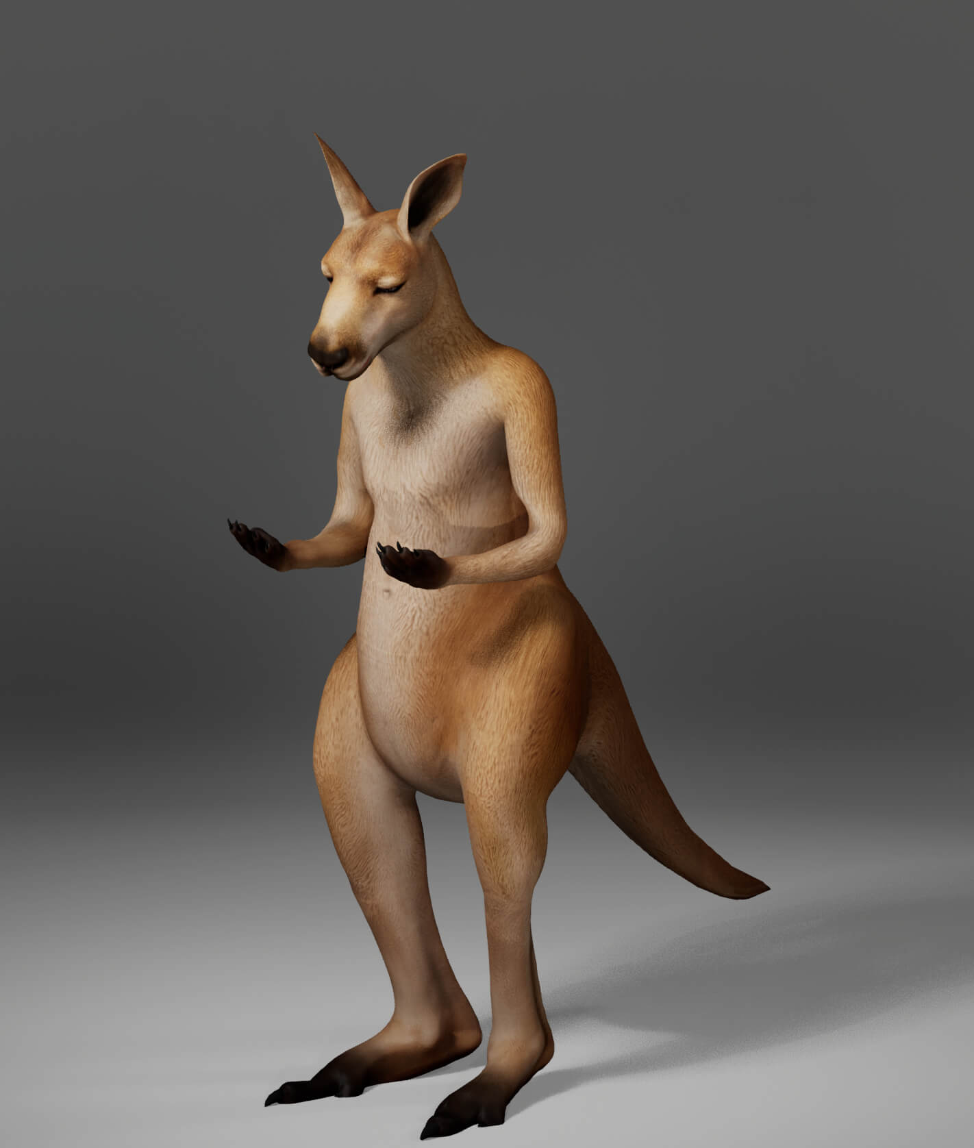 Kangaroo Metahuman Character 3D Model