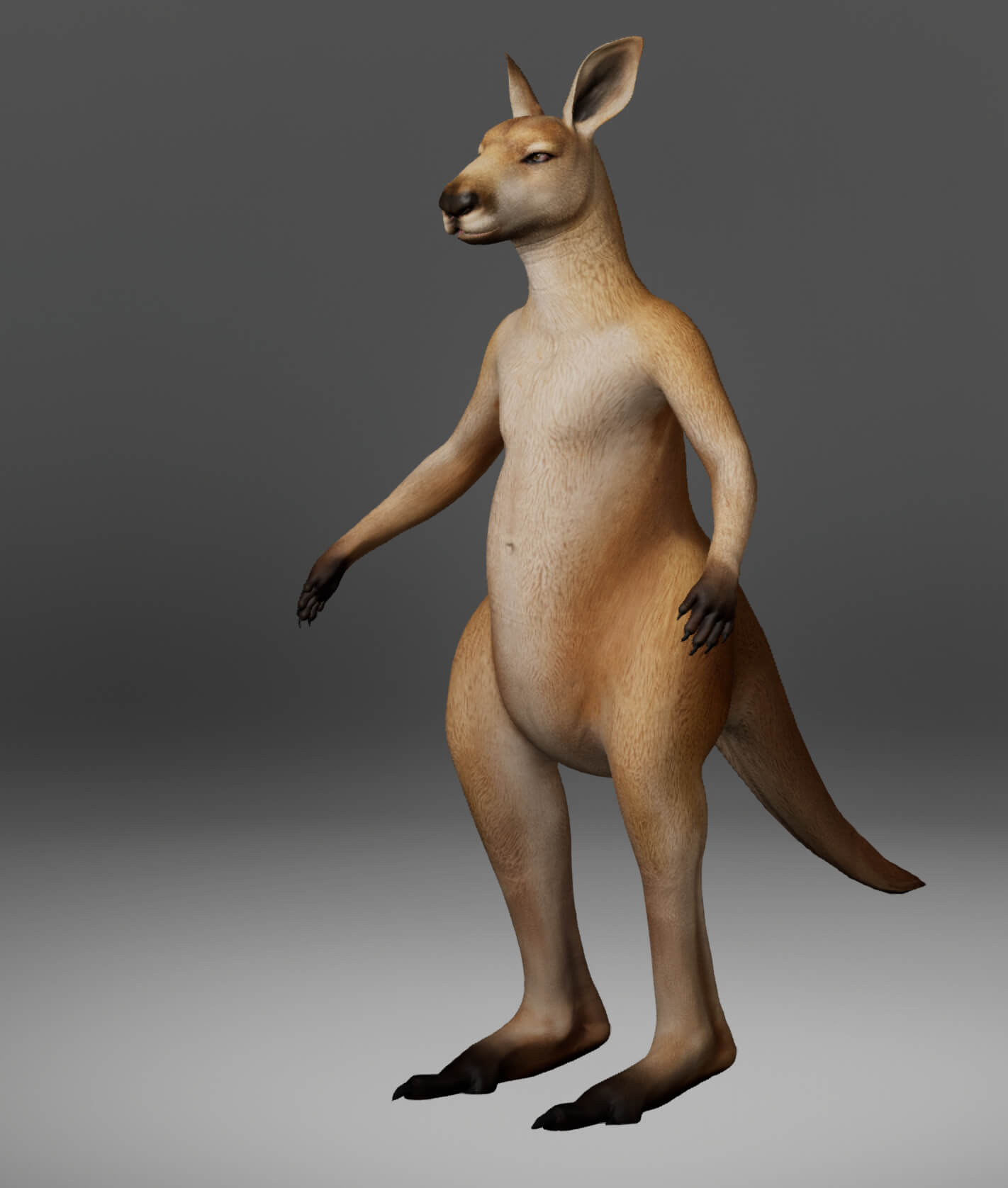 Kangaroo Metahuman Character 3D Model