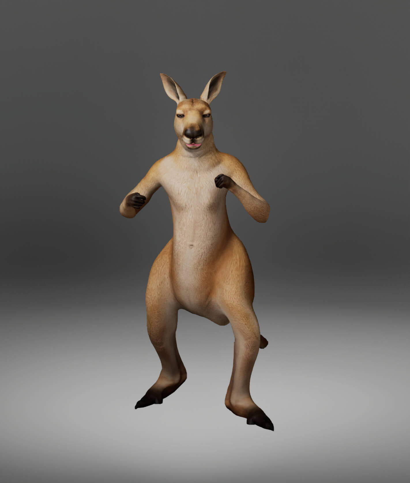 Kangaroo Metahuman Character 3D Model