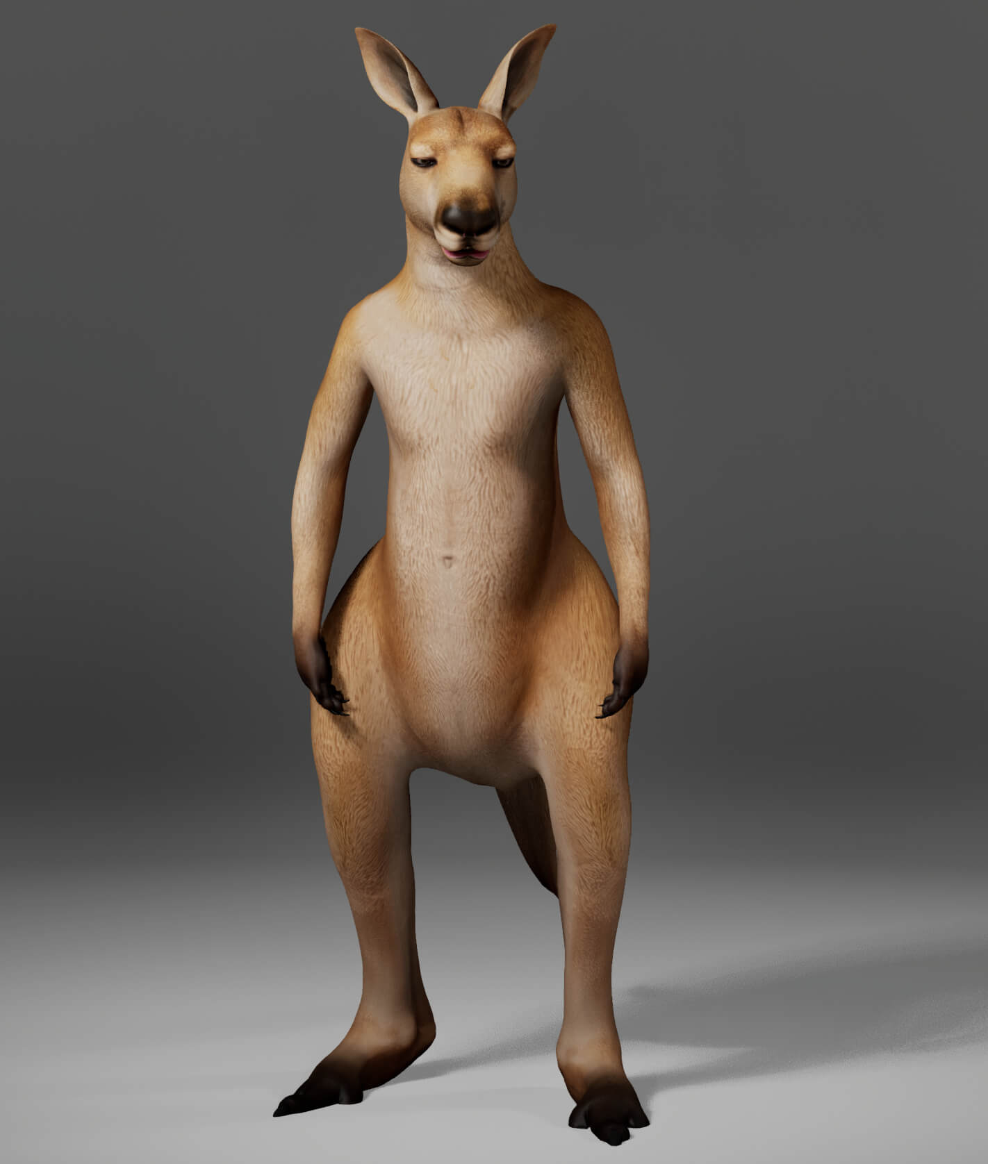Kangaroo Metahuman Character 3D Model