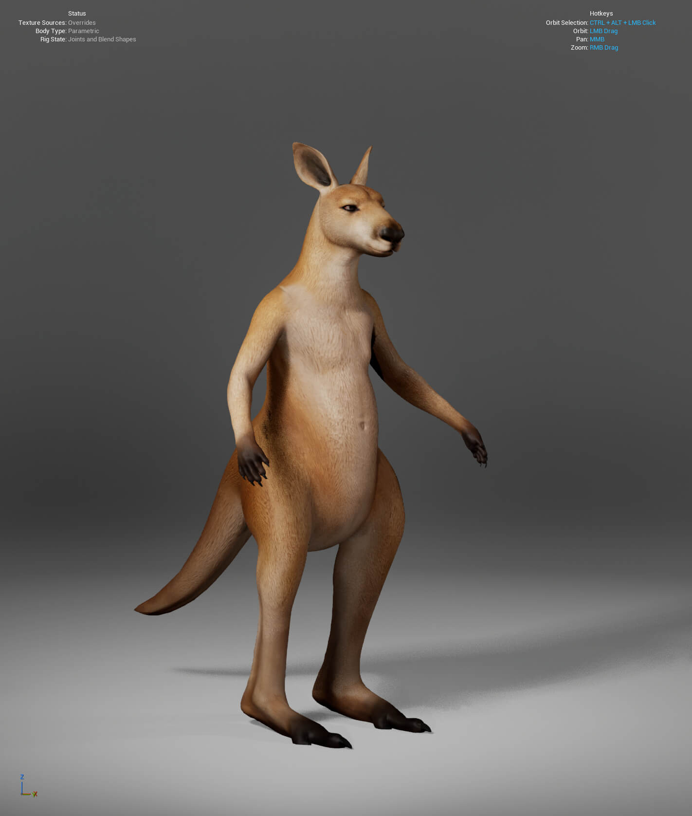 Kangaroo Metahuman Character 3D Model