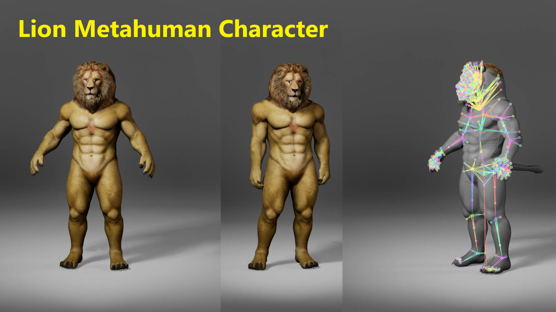Lion Metahuman Character 3D Model