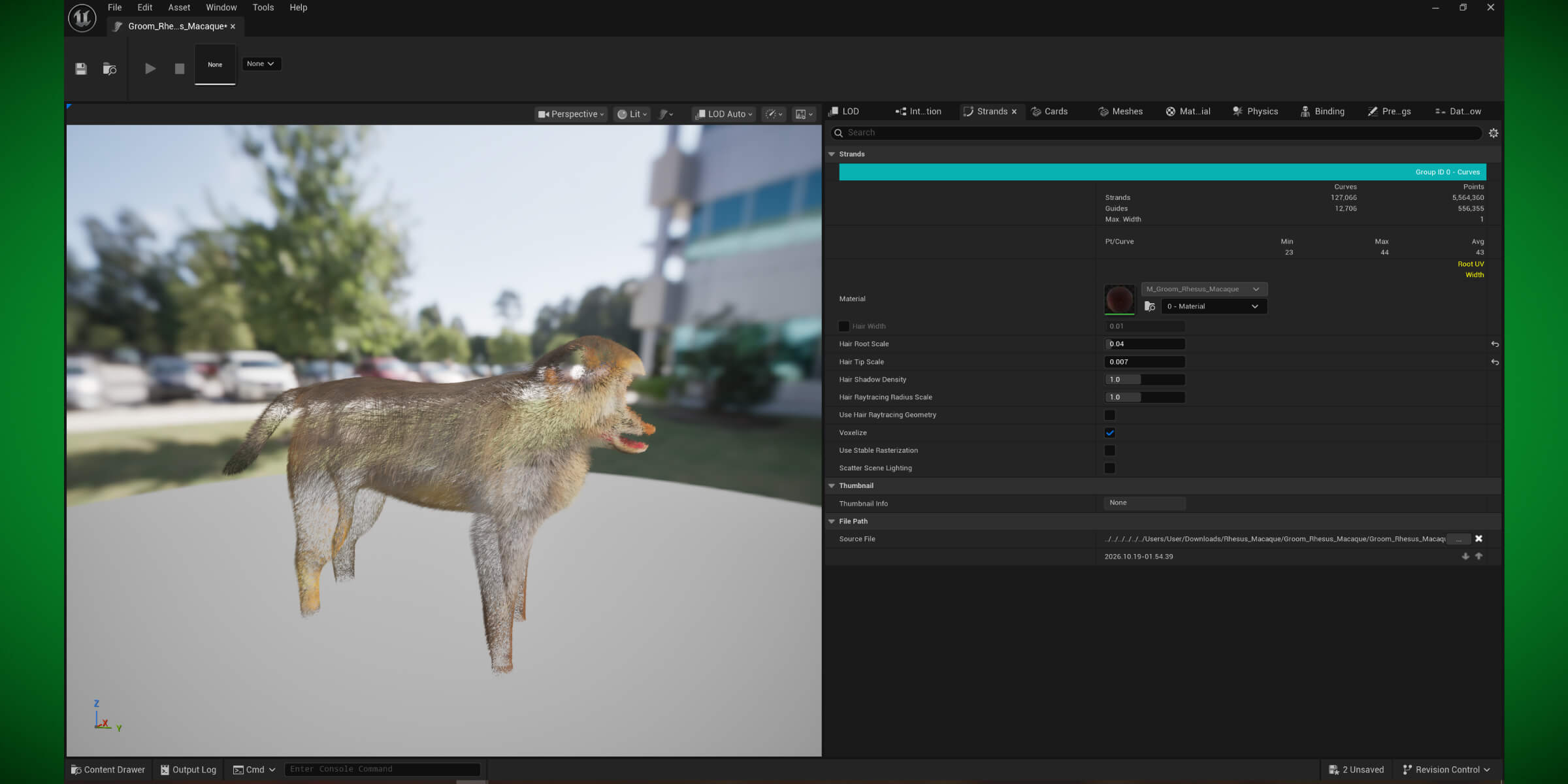 Rhesus Macaque Monkey 3D Model