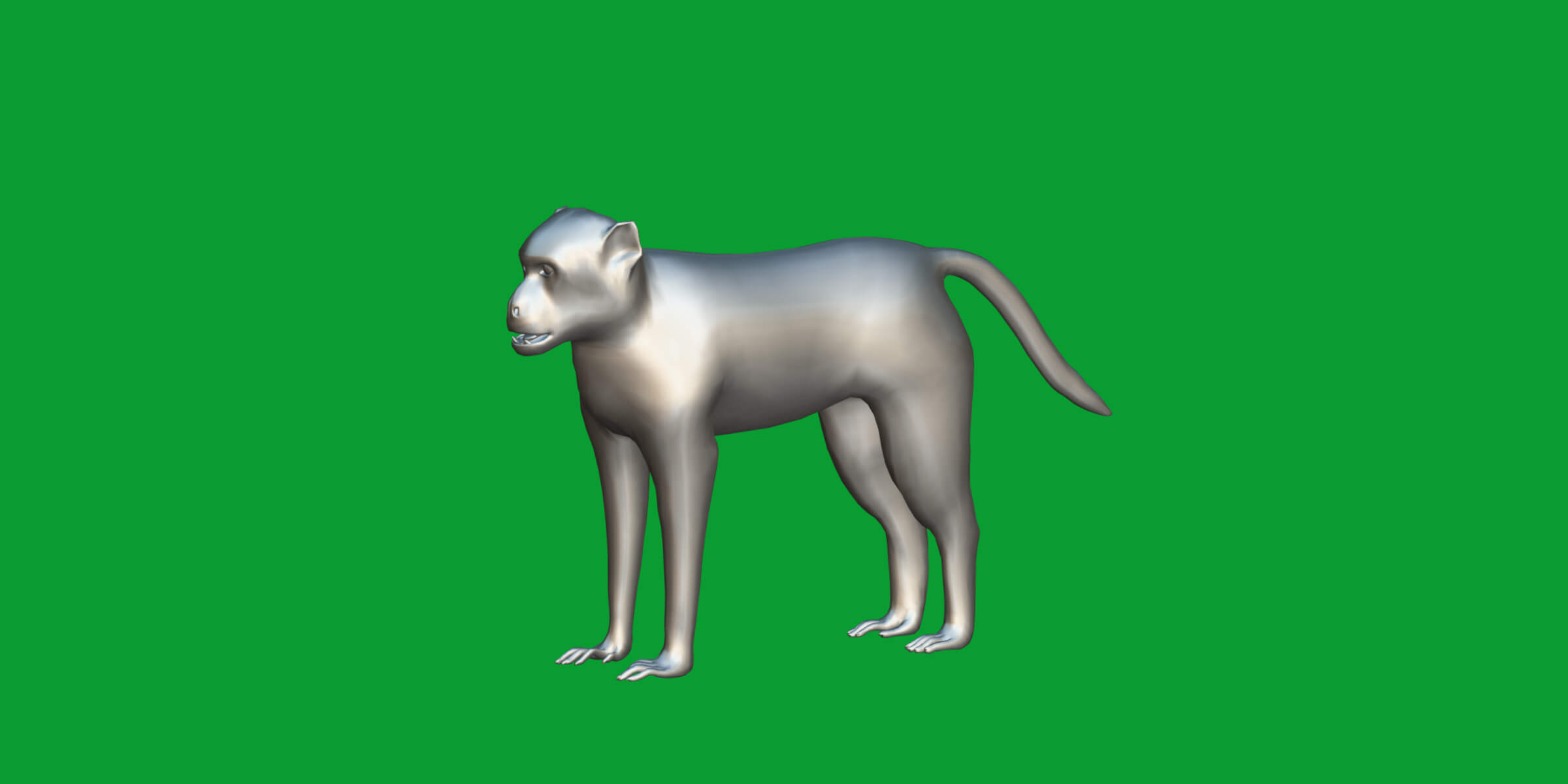 Rhesus Macaque Monkey 3D Model