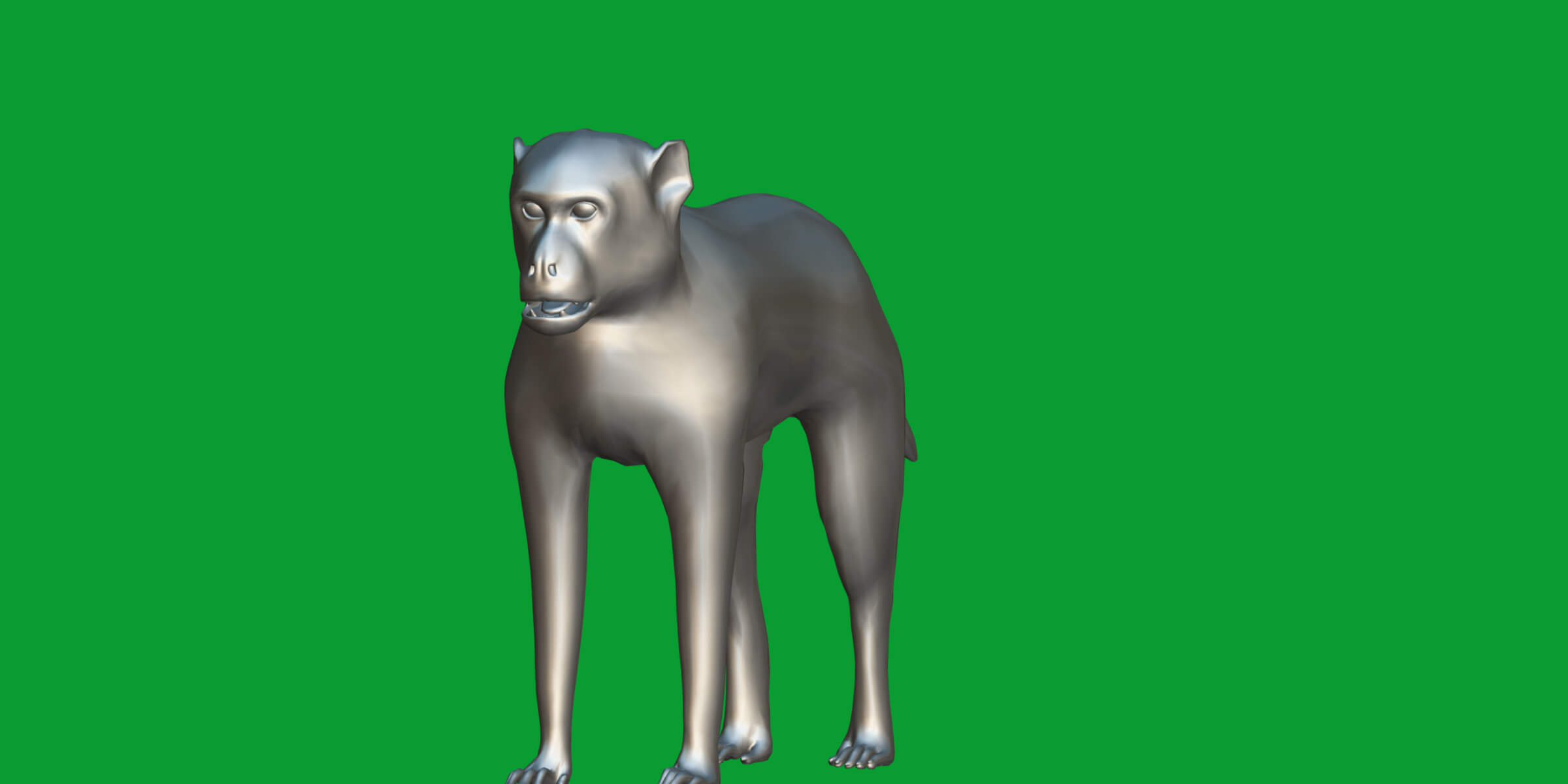 Rhesus Macaque Monkey 3D Model