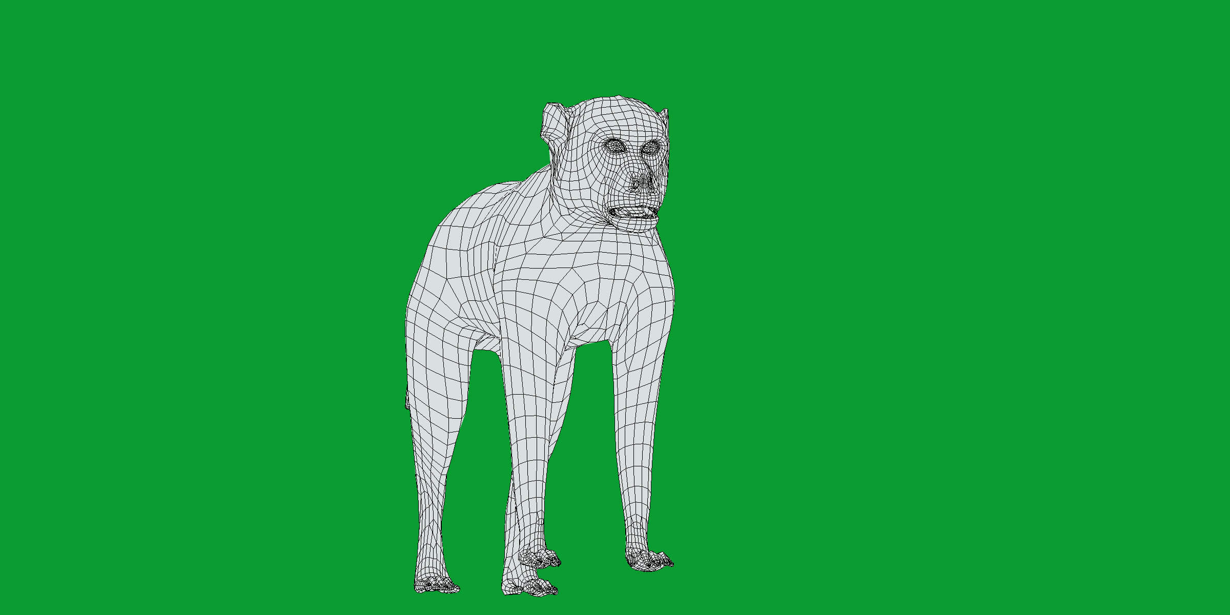 Rhesus Macaque Monkey 3D Model