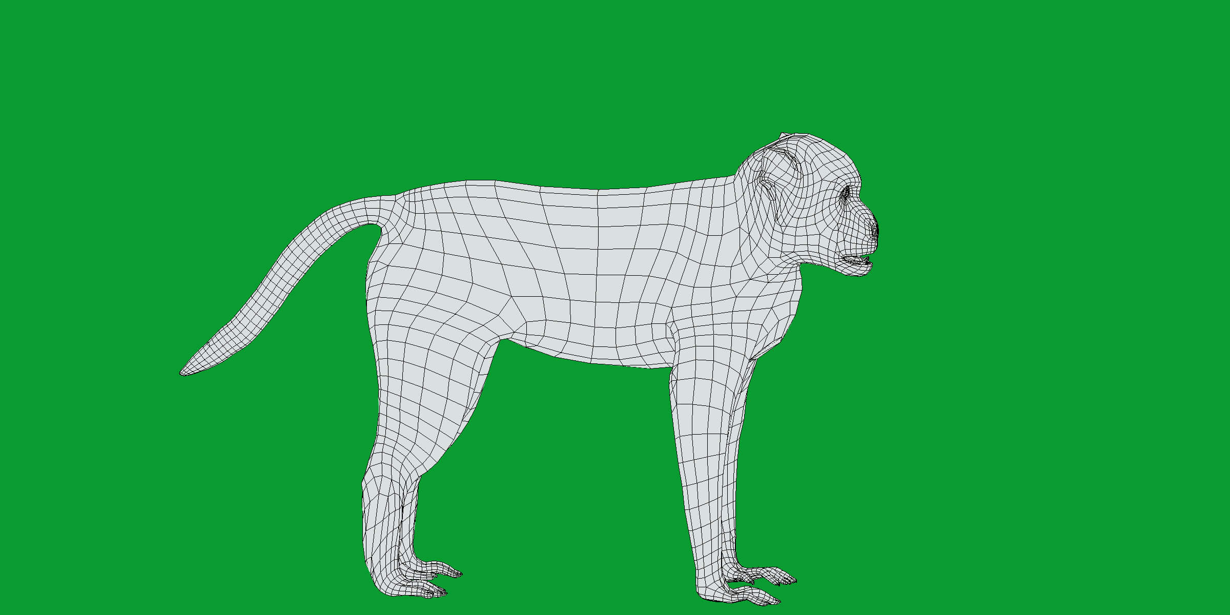 Rhesus Macaque Monkey 3D Model