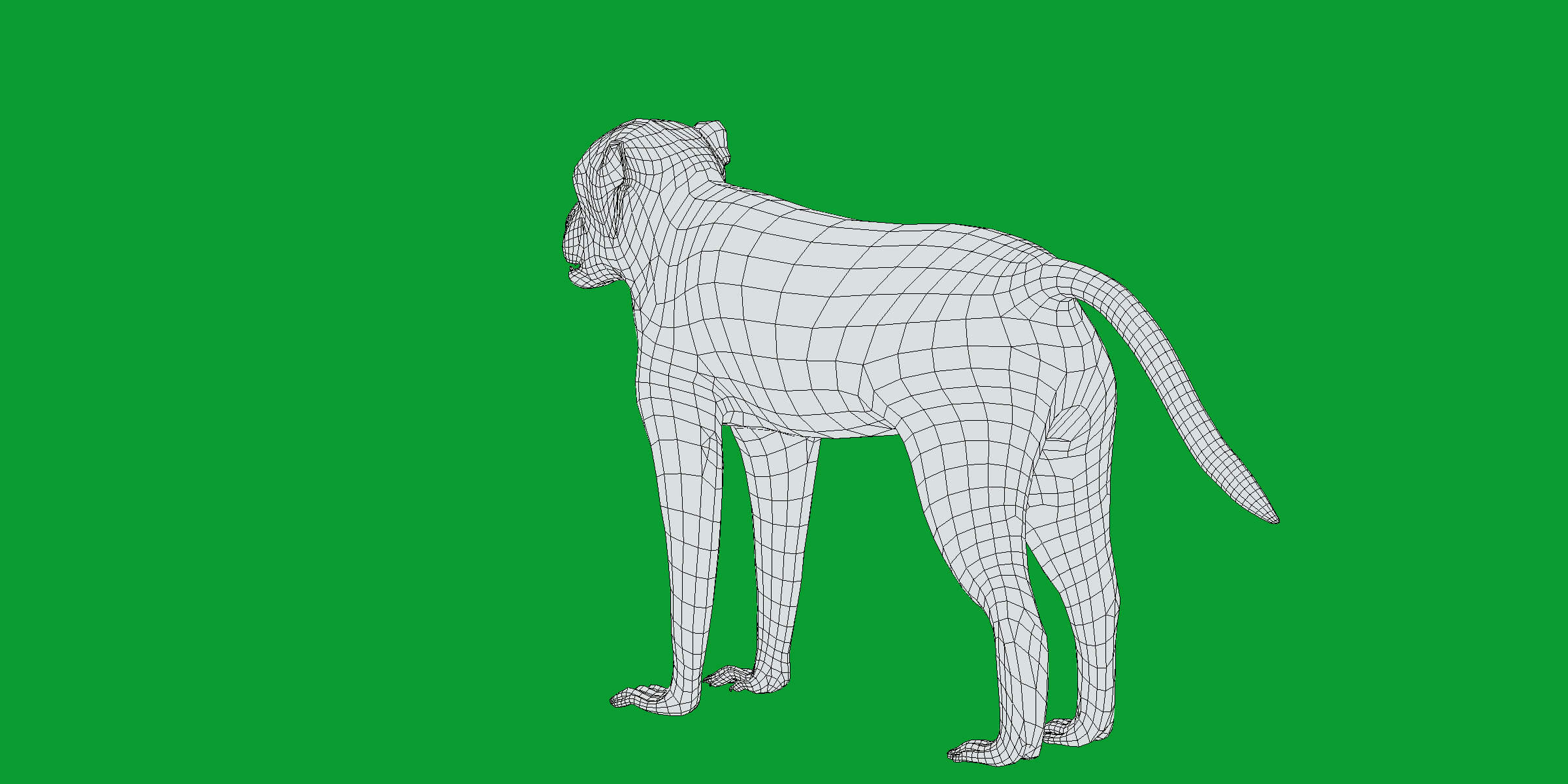 Rhesus Macaque Monkey 3D Model