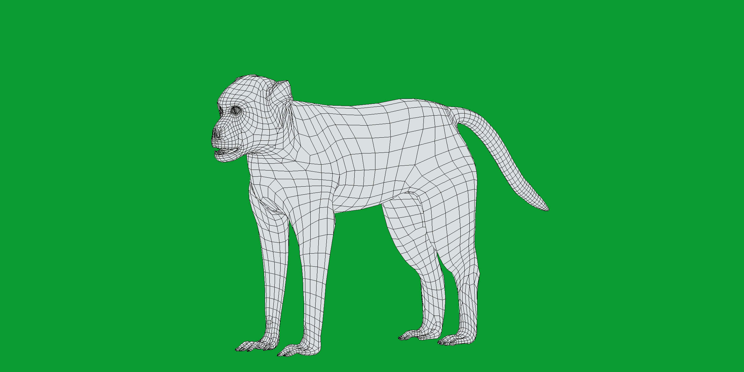 Rhesus Macaque Monkey 3D Model