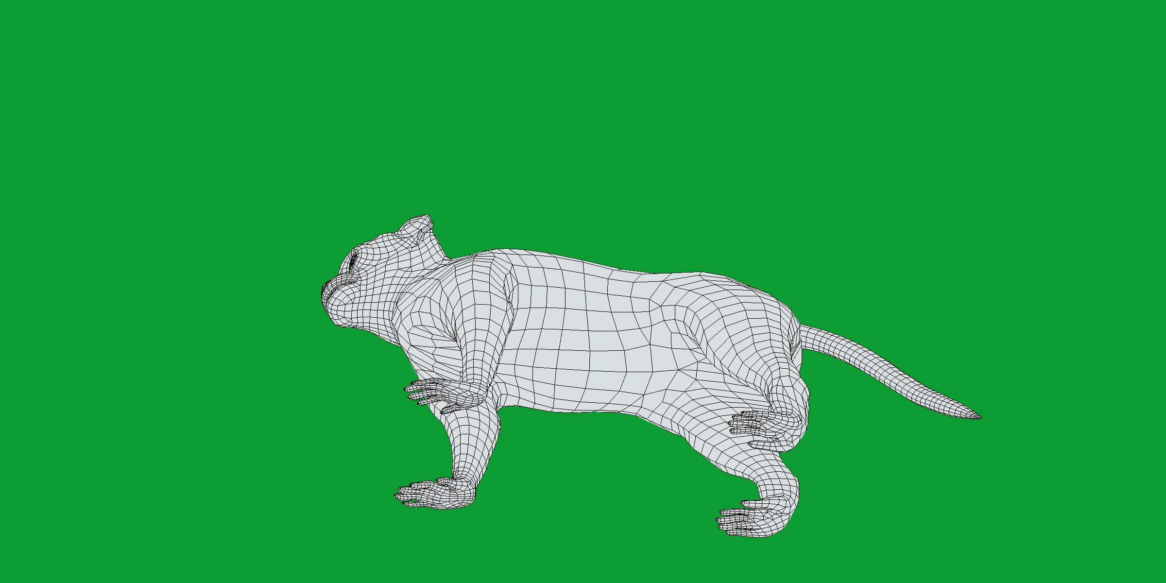 Rhesus Macaque Monkey 3D Model